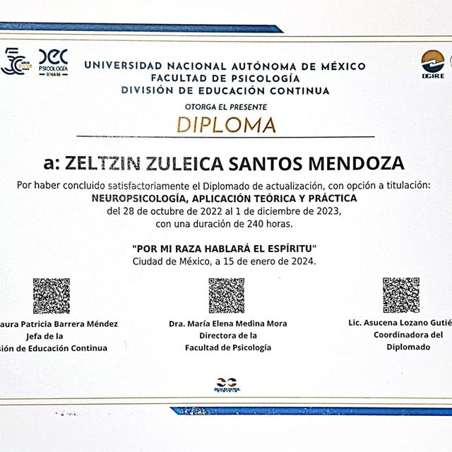 Ampliar imagen: certificate 3