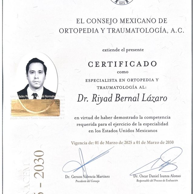 Ampliar imagen: certificate 1