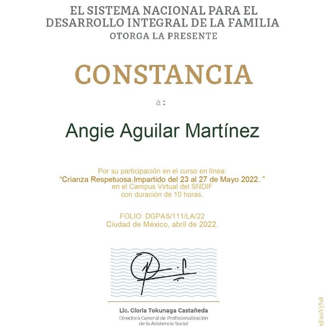 Ampliar imagen: certificate 5