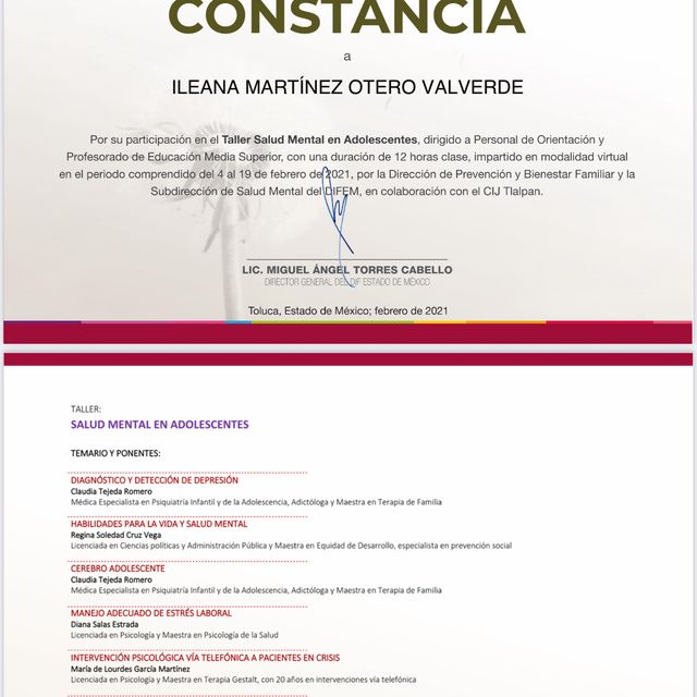Ampliar imagen: certificate 3