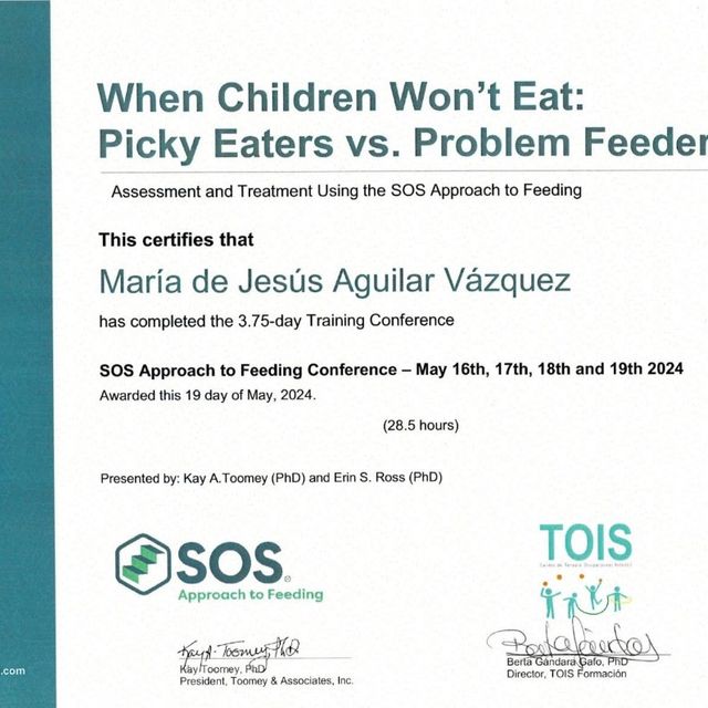 Ampliar imagen: certificate 4