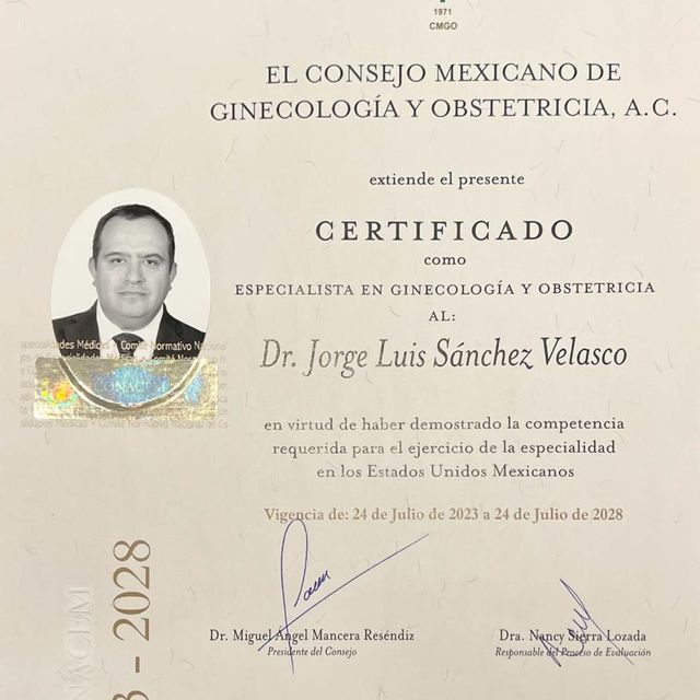 Ampliar imagen: certificate 1