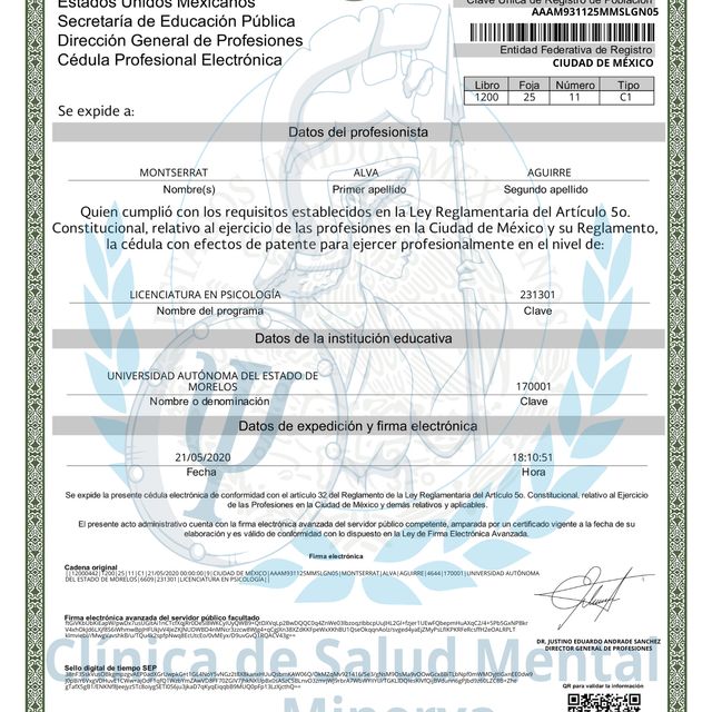 Ampliar imagen: certificate 1