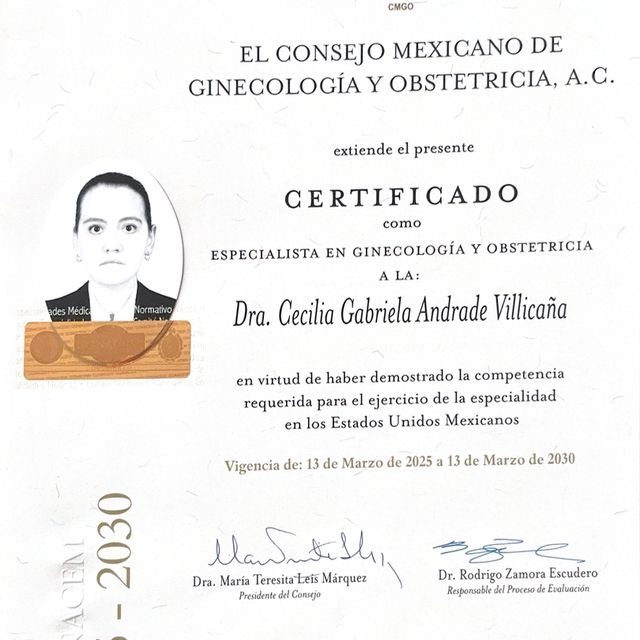 Ampliar imagen: certificate 1