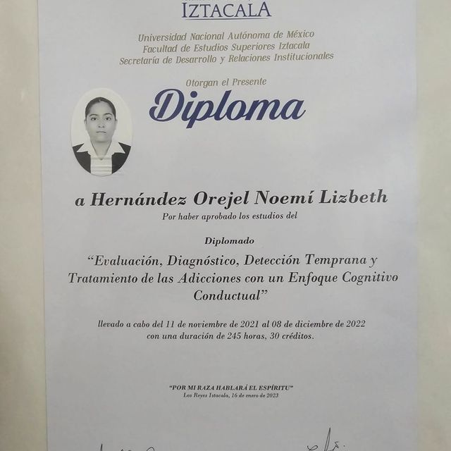 Ampliar imagen: certificate 1