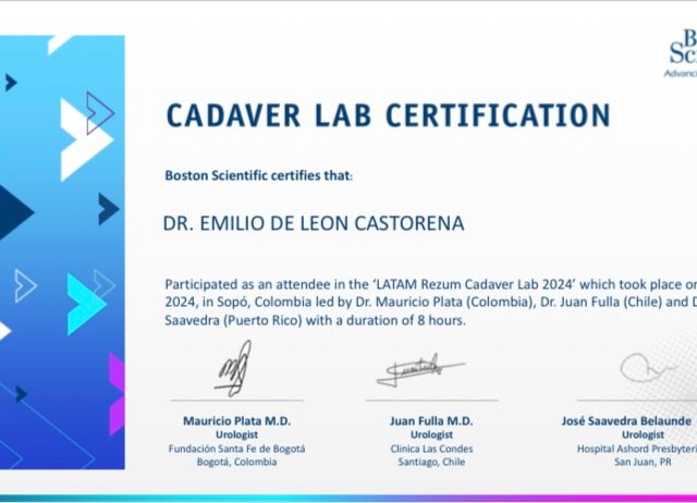 Ampliar imagen: certificate 3