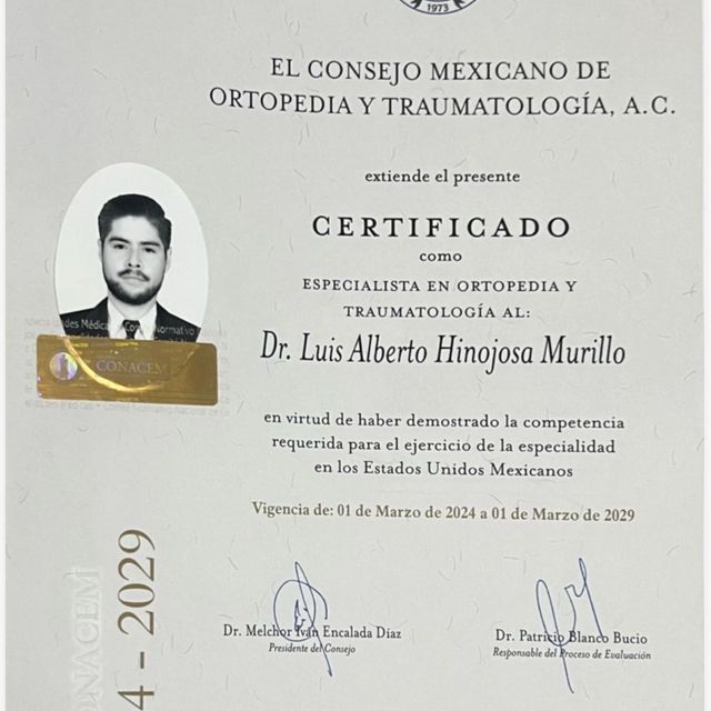 Ampliar imagen: certificate 1