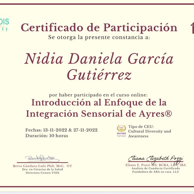 Ampliar imagen: certificate 3