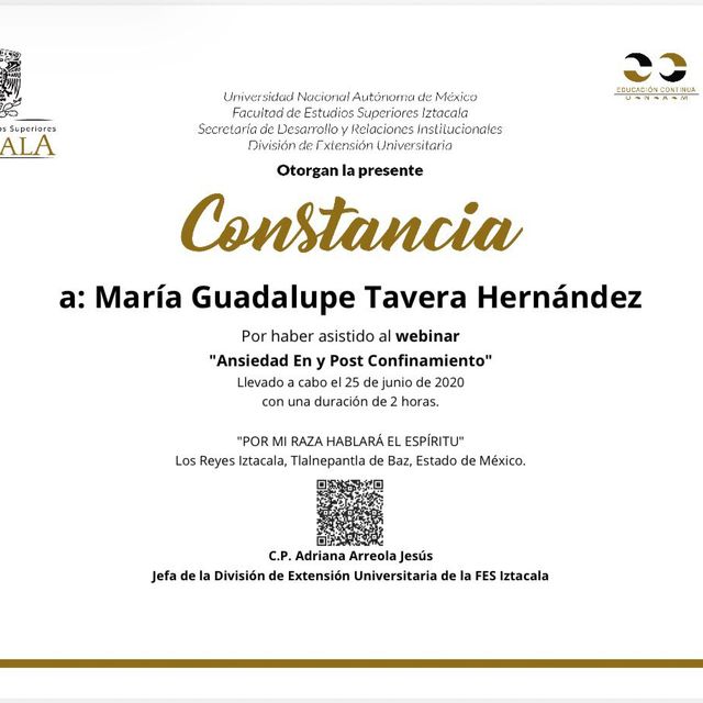 Ampliar imagen: certificate 28