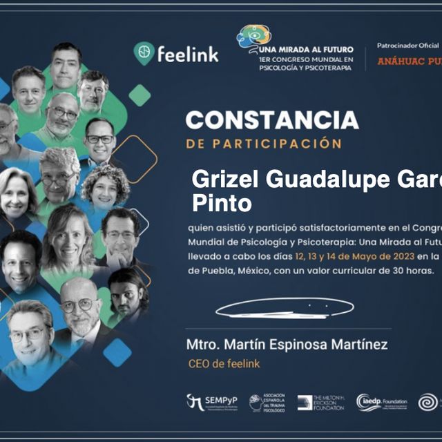 Ampliar imagen: certificate 2