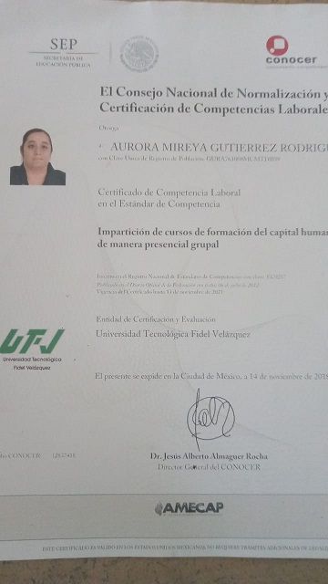 Ampliar imagen: certificate 1