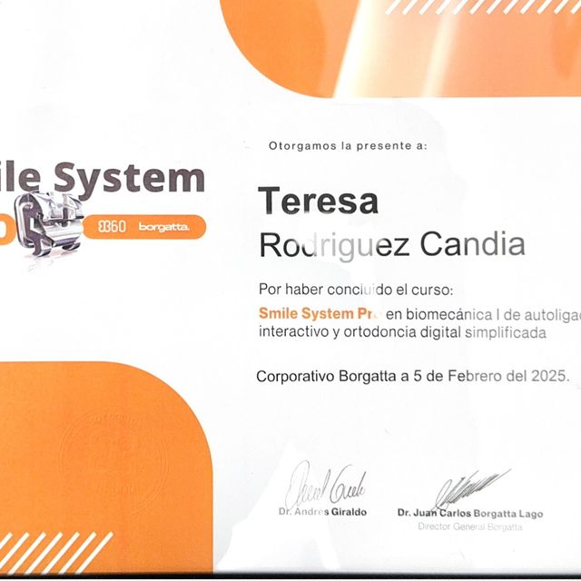 Ampliar imagen: certificate 4