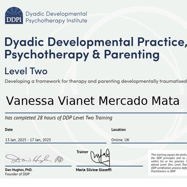 Ampliar imagen: certificate 5