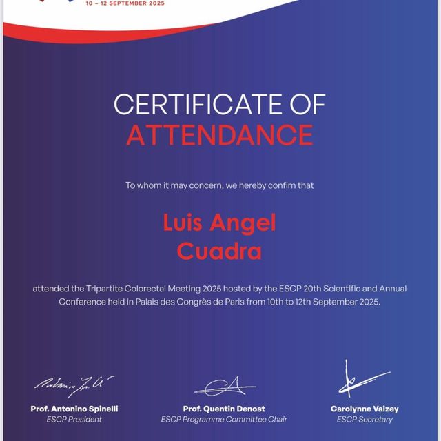 Ampliar imagen: certificate 7