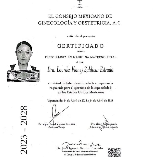Ampliar imagen: certificate 2