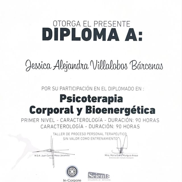 Ampliar imagen: certificate 3