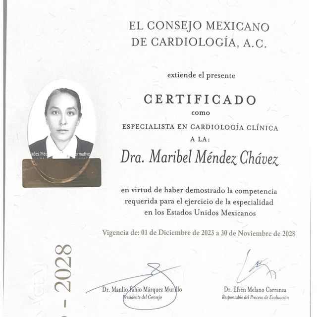 Ampliar imagen: certificate 2