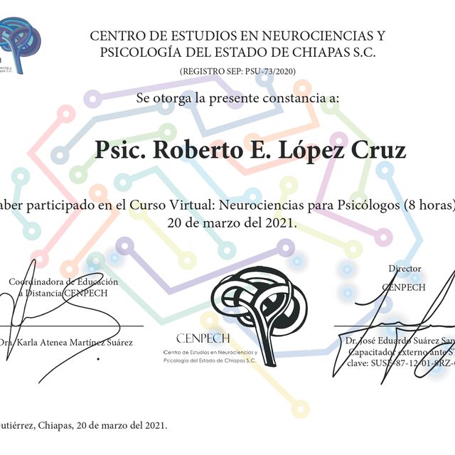Ampliar imagen: certificate 8
