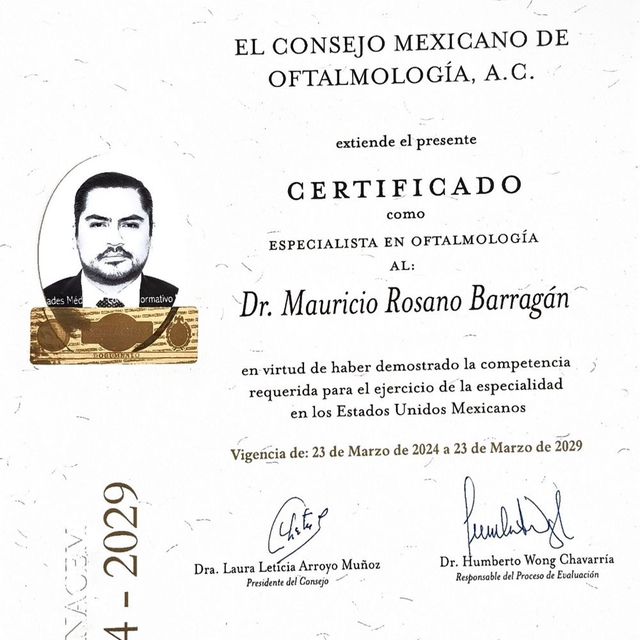 Ampliar imagen: certificate 1