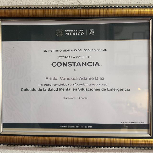 Ampliar imagen: certificate 7