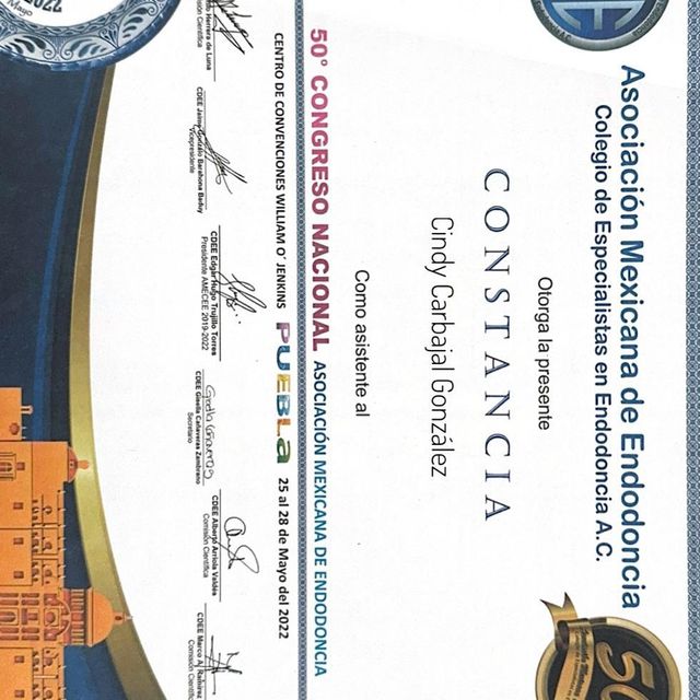 Ampliar imagen: certificate 1