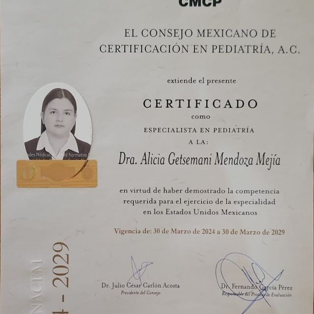 Ampliar imagen: certificate 1