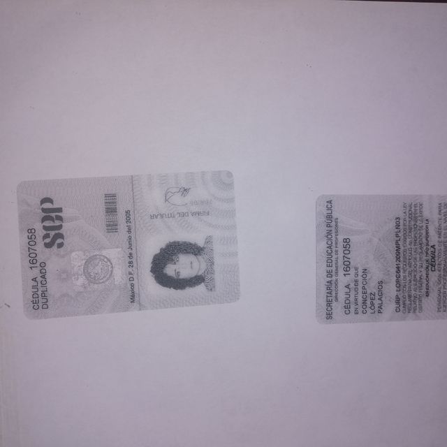 Ampliar imagen: certificate 10