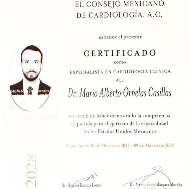 Ampliar imagen: certificate 1