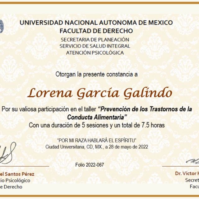 Ampliar imagen: certificate 7