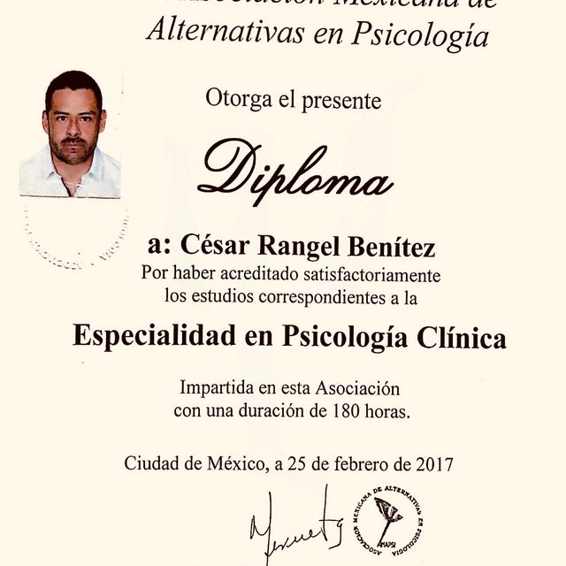 Ampliar imagen: certificate 3