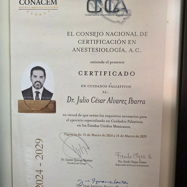 Ampliar imagen: certificate 2