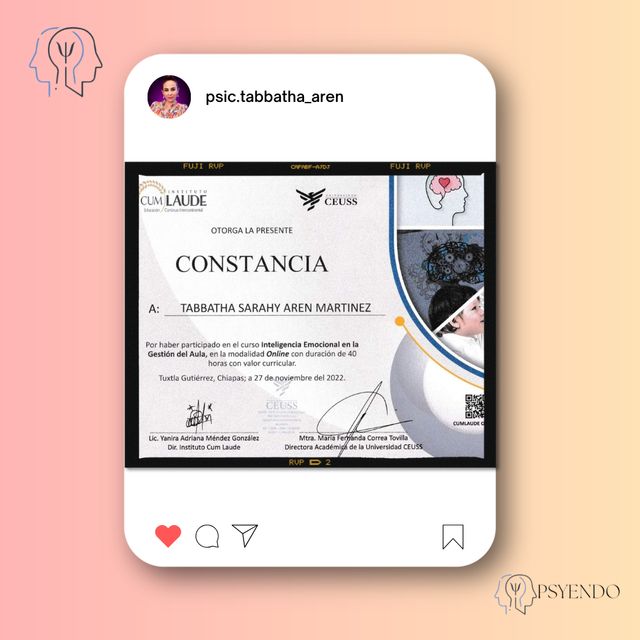 Ampliar imagen: certificate 11