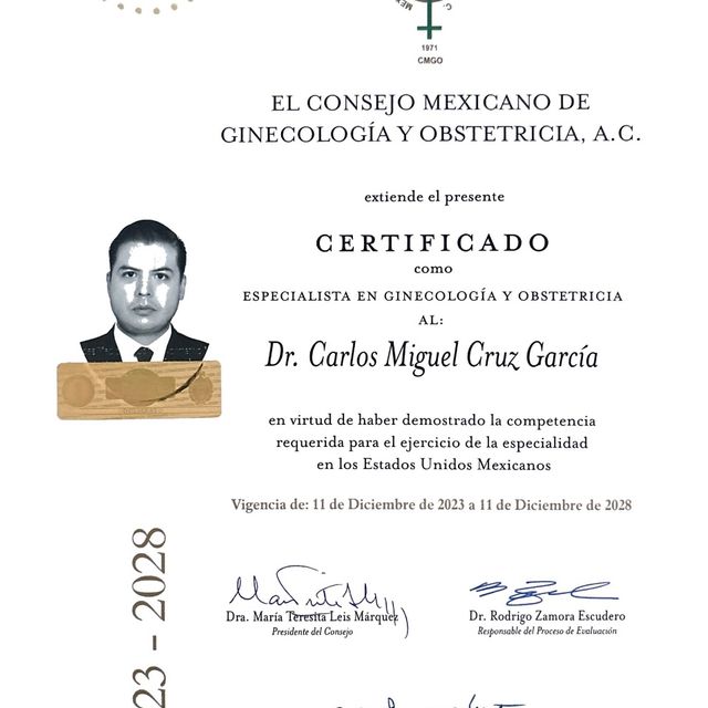 Ampliar imagen: certificate 1