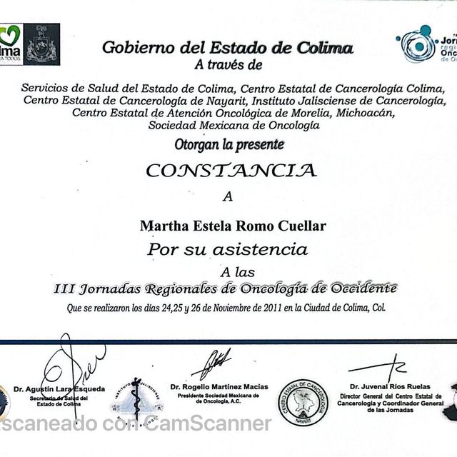 Ampliar imagen: certificate 24
