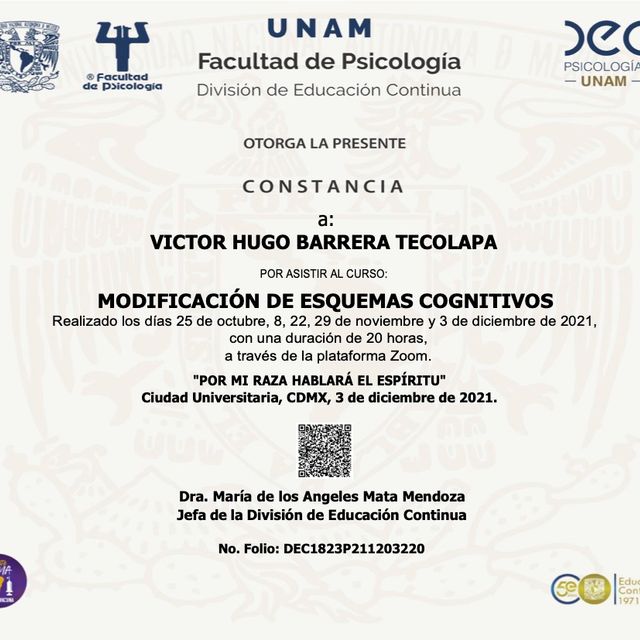 Ampliar imagen: certificate 40