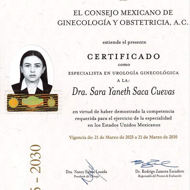 Ampliar imagen: certificate 3