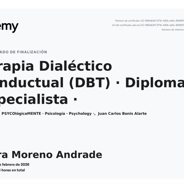 Ampliar imagen: certificate 4