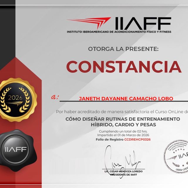 Ampliar imagen: certificate 4