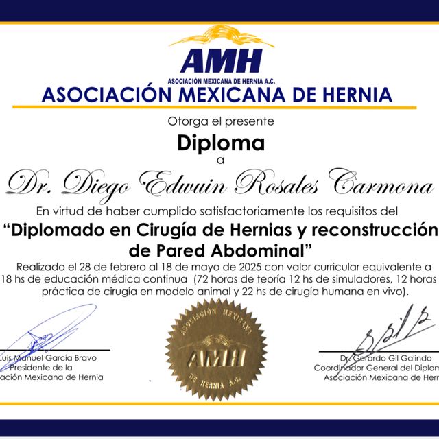 Ampliar imagen: certificate 4