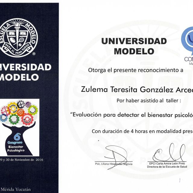 Ampliar imagen: certificate 30