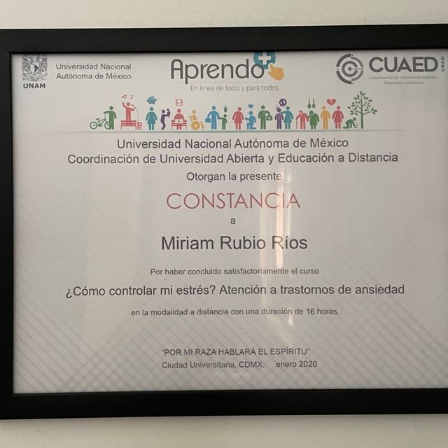 Ampliar imagen: certificate 4