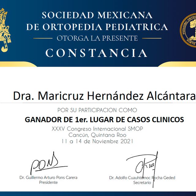 Ampliar imagen: certificate 6