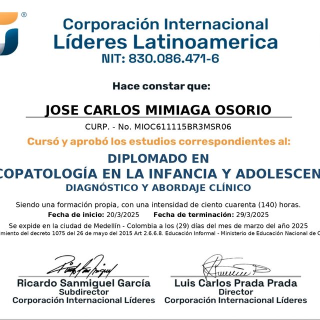 Ampliar imagen: certificate 4