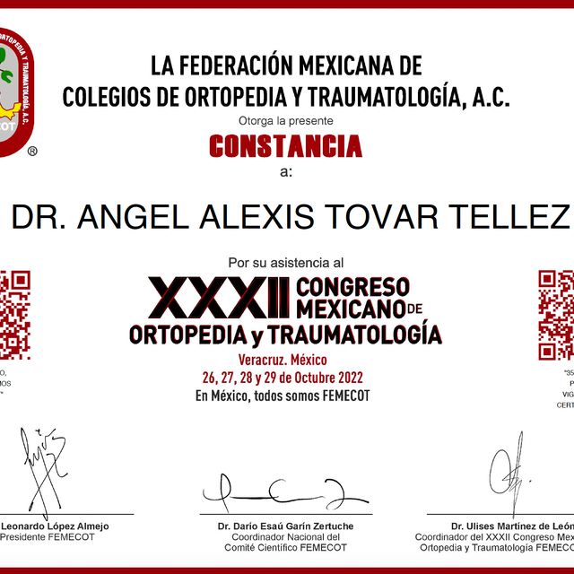 Ampliar imagen: certificate 16