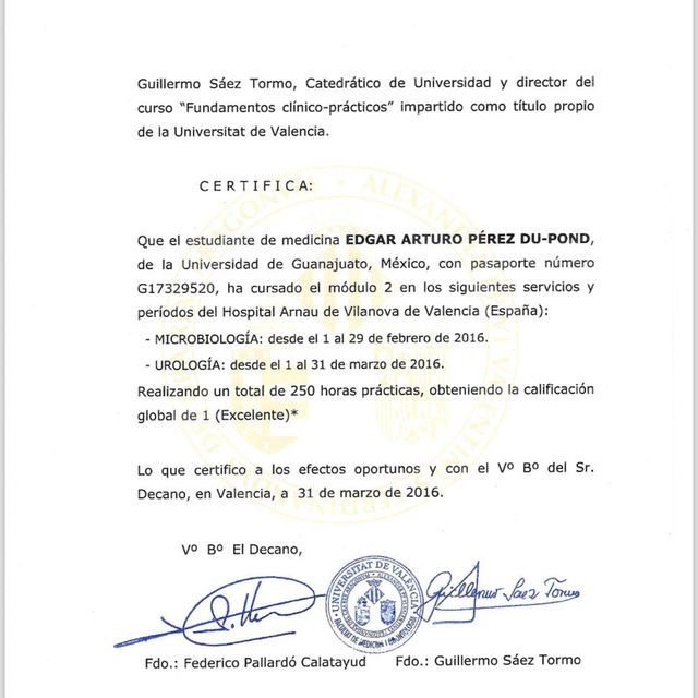 Ampliar imagen: certificate 3