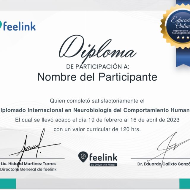 Ampliar imagen: certificate 6