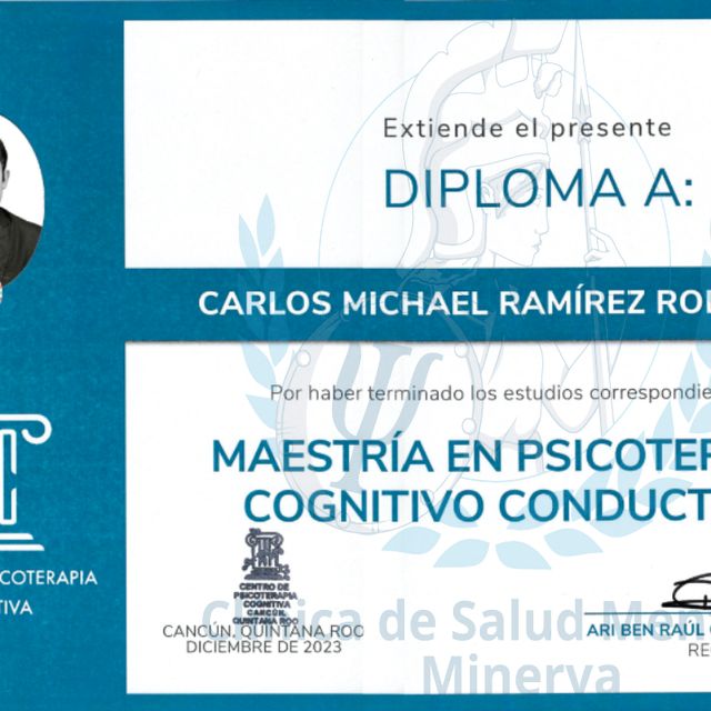 Ampliar imagen: certificate 3
