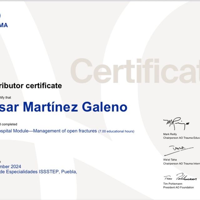 Ampliar imagen: certificate 13