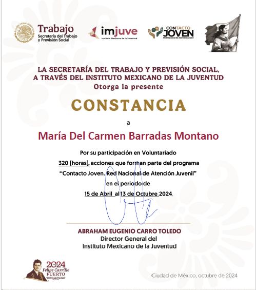 Ampliar imagen: certificate 1