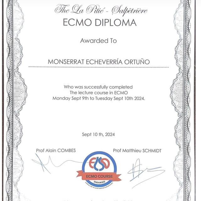 Ampliar imagen: certificate 5